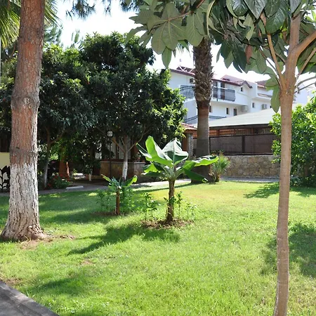 Otel ılkiz