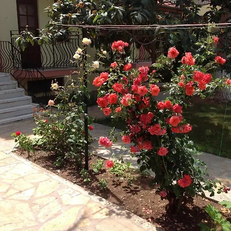Otel ılkiz 2*