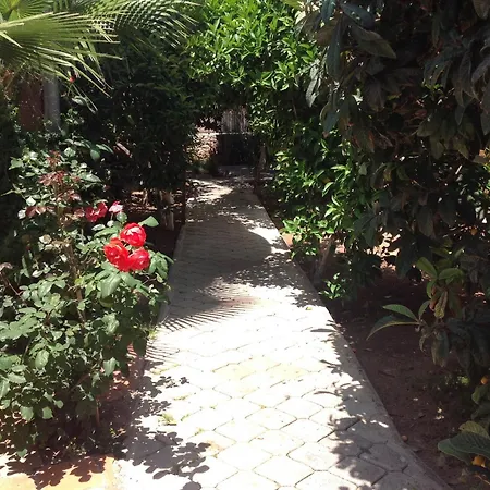 Otel ılkiz