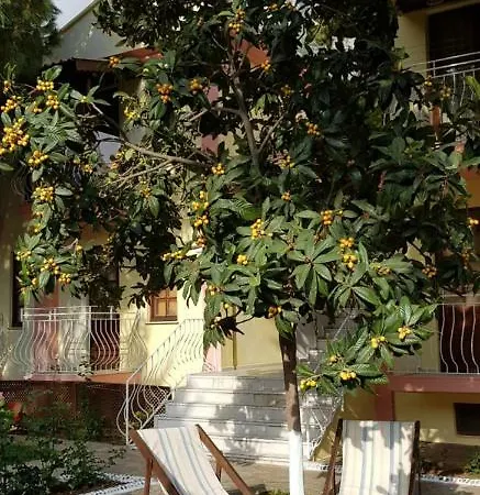 Otel ılkiz