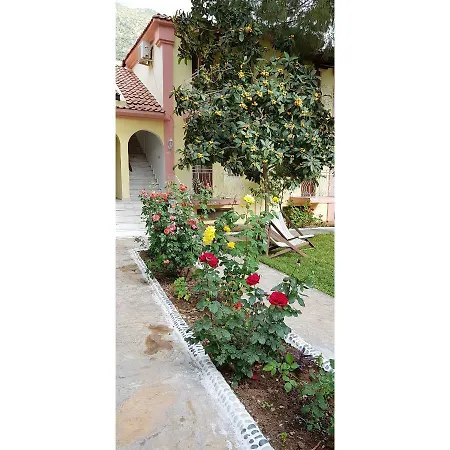 Otel ılkiz