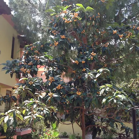 호텔 Ilkiz 올루데니스