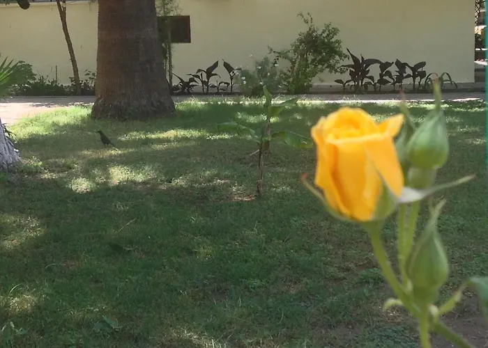 Ilkiz מלון אולודניץ