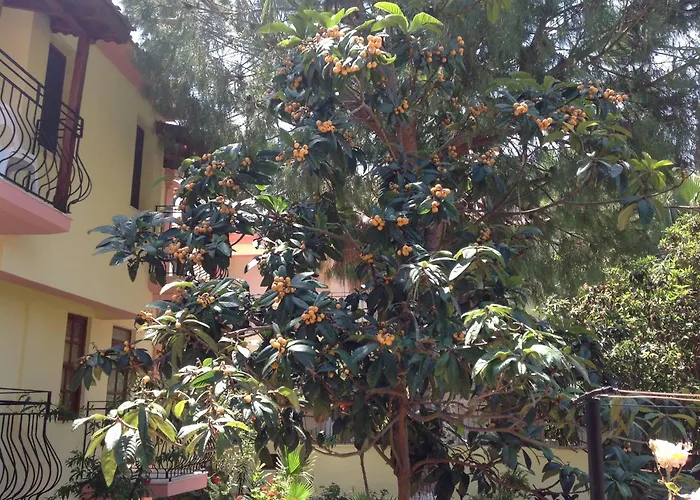 מלון Ilkiz אולודניץ